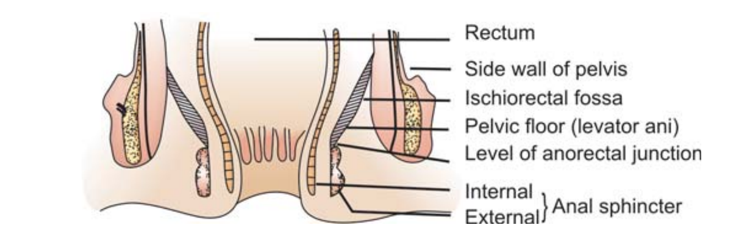 pediatric diseases